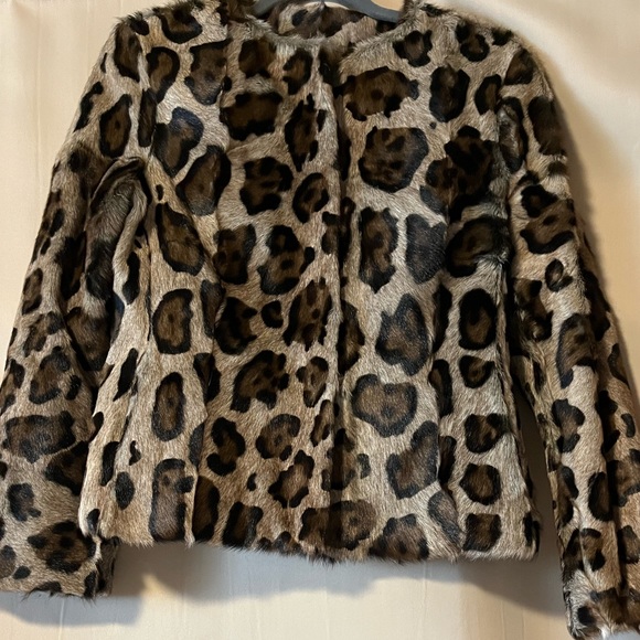 Blacky Dress - Berlin size us6 animal print jacket - Picture 5 of 6